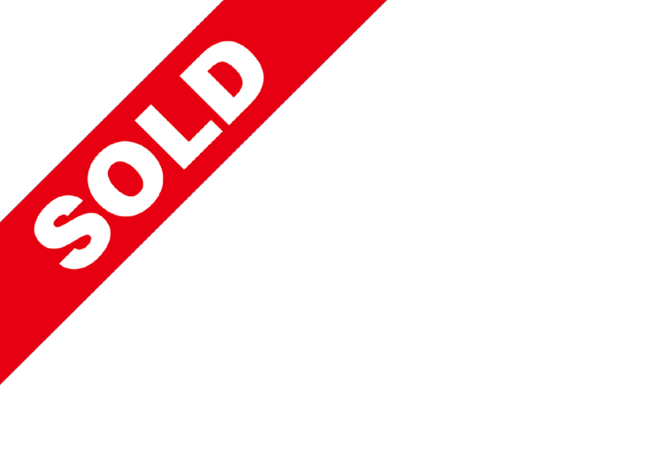 2017 YAMAHA ELECTRIC 4 PASSENGER has been sold!